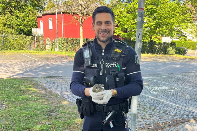 Gerettet statt vergessen Oster-Hasenbabys finden Hilfe bei Polizei und Tierschützern